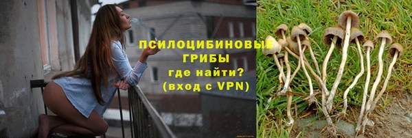 mdma Горнозаводск