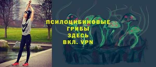 mdma Горнозаводск