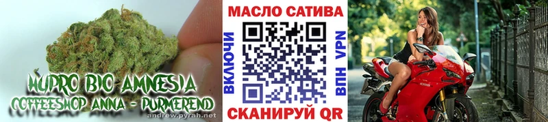 darknet Telegram  MEGA маркетплейс  Санкт-Петербург  даркнет сайт  ТГК вейп 
